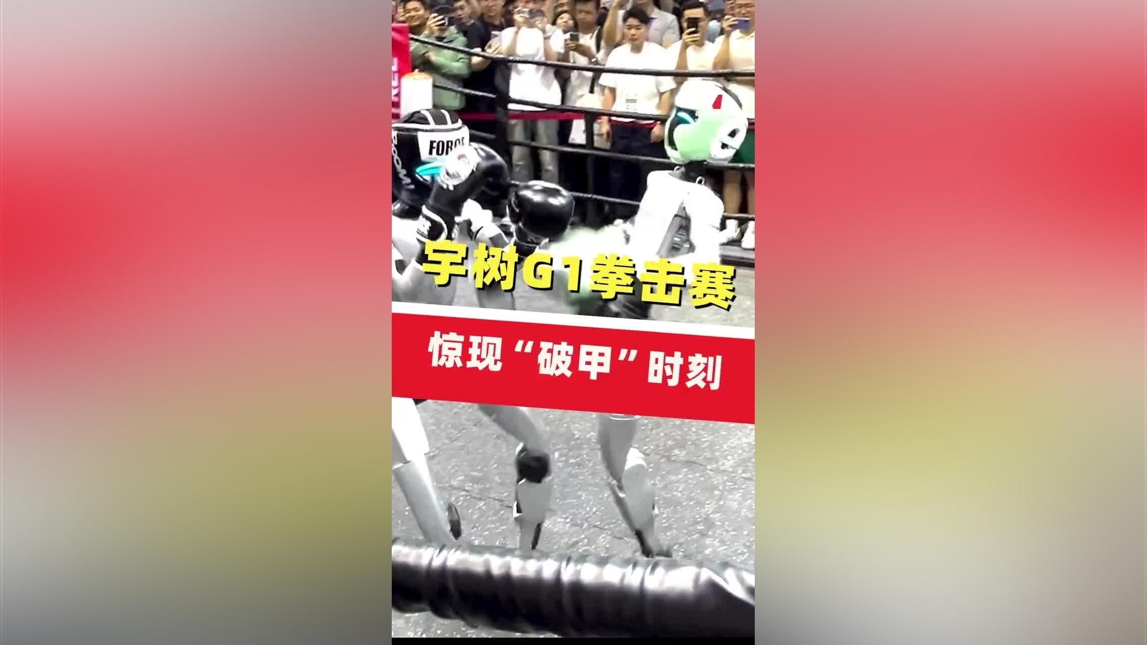 共享体育盛会-赛地聚焦——意甲窗口期热度飙升；广东宏远豪取连胜；媒体盛赞；更衣室氛围转暖的简单介绍