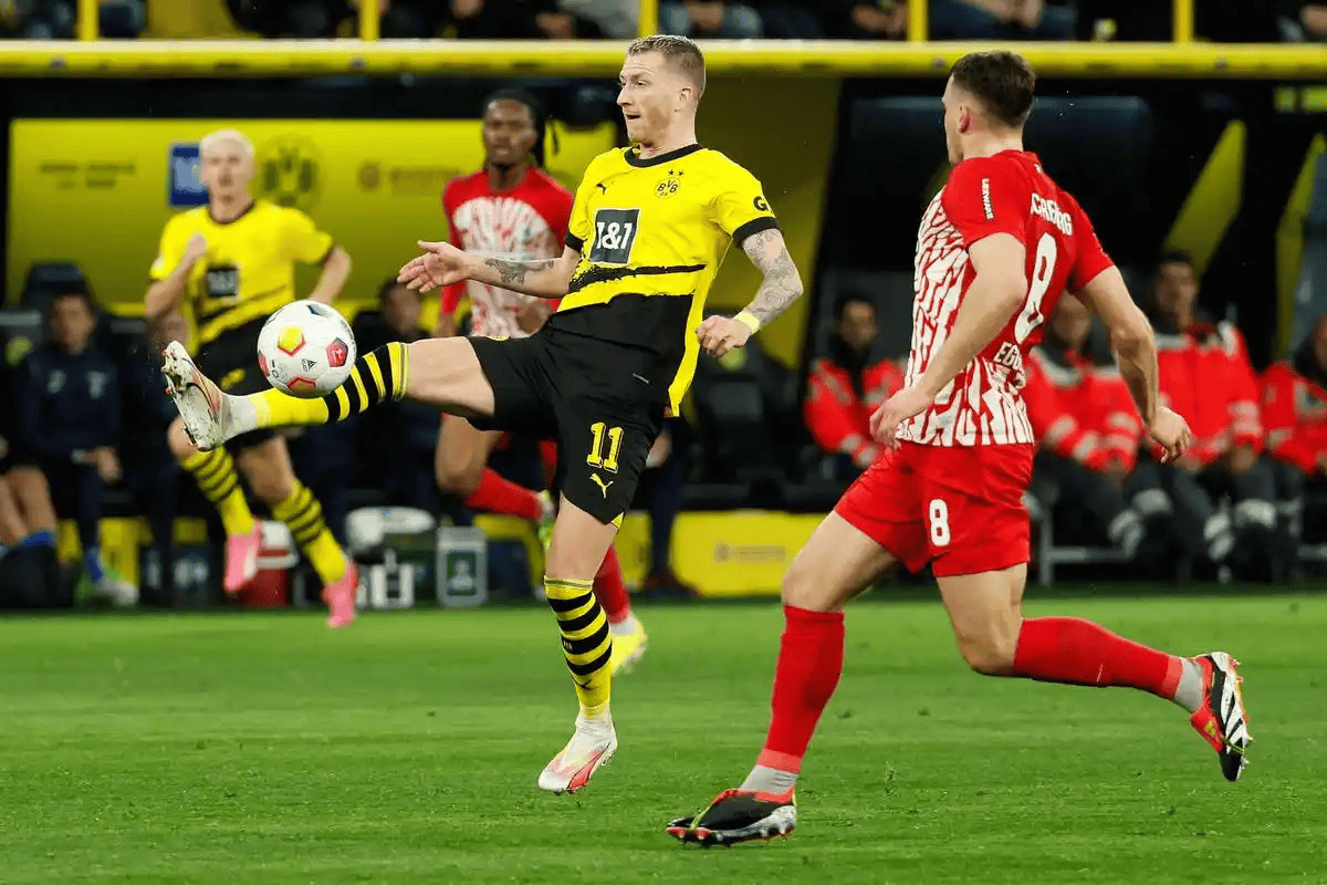 金年会体育平台-今夜德甲焦点战，孟菲斯灰熊造点机会，压力陡增，赛季目标并未改变的简单介绍